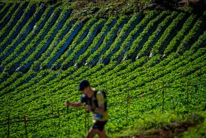 BIB: 
                            <button type="button" onclick="openModal(19160849)" class="btn btn-primary btn-sm float-right btn-popup" data-toggle="modal" data-target=".modal-high-quality">
                        <i class="fas fa-shopping-cart"></i> Add to Cart
                    </button>
                                            <button type="button" onclick="isThisMe(19160849, true)" class="btn btn-success btn-sm float-right btn-popup btn-isme hidden" data-toggle="tooltip" data-placement="bottom" title="นี่คือรูปของคุณใช่ไหม คลิกที่นี่เพื่อเอาเข้าอัลบั้ม">
                        <i class="fas fa-plus"></i> Add to album
                    </button>
                    <button type="button" onclick="isThisMe(19160849, false)" class="btn btn-warning btn-sm float-right btn-popup btn-isnotme hidden">
                        <i class="fas fa-ban"></i> Remove from album
                    </button>